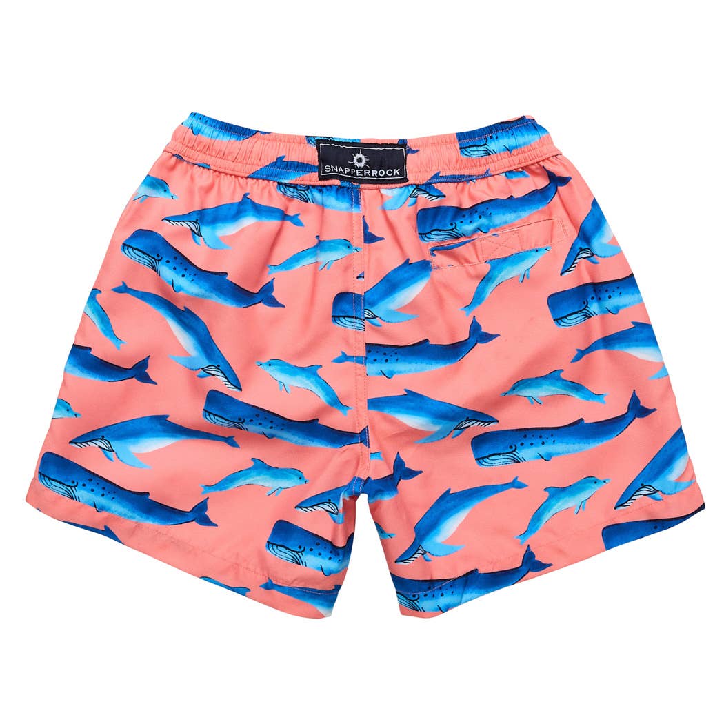 Snapper Rock Swimwear UPF50+ - Whale Tail Swim Short