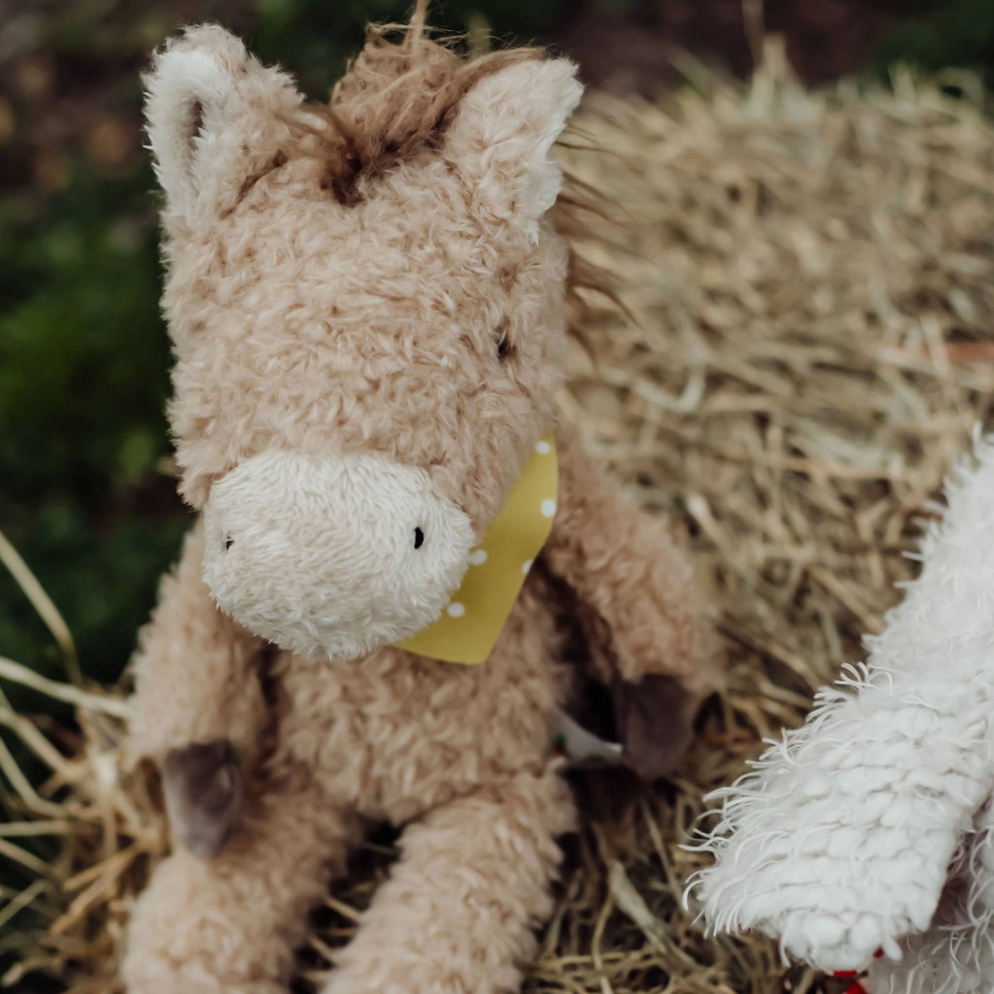 Bunnies By the Bay - Pony Boy Horse