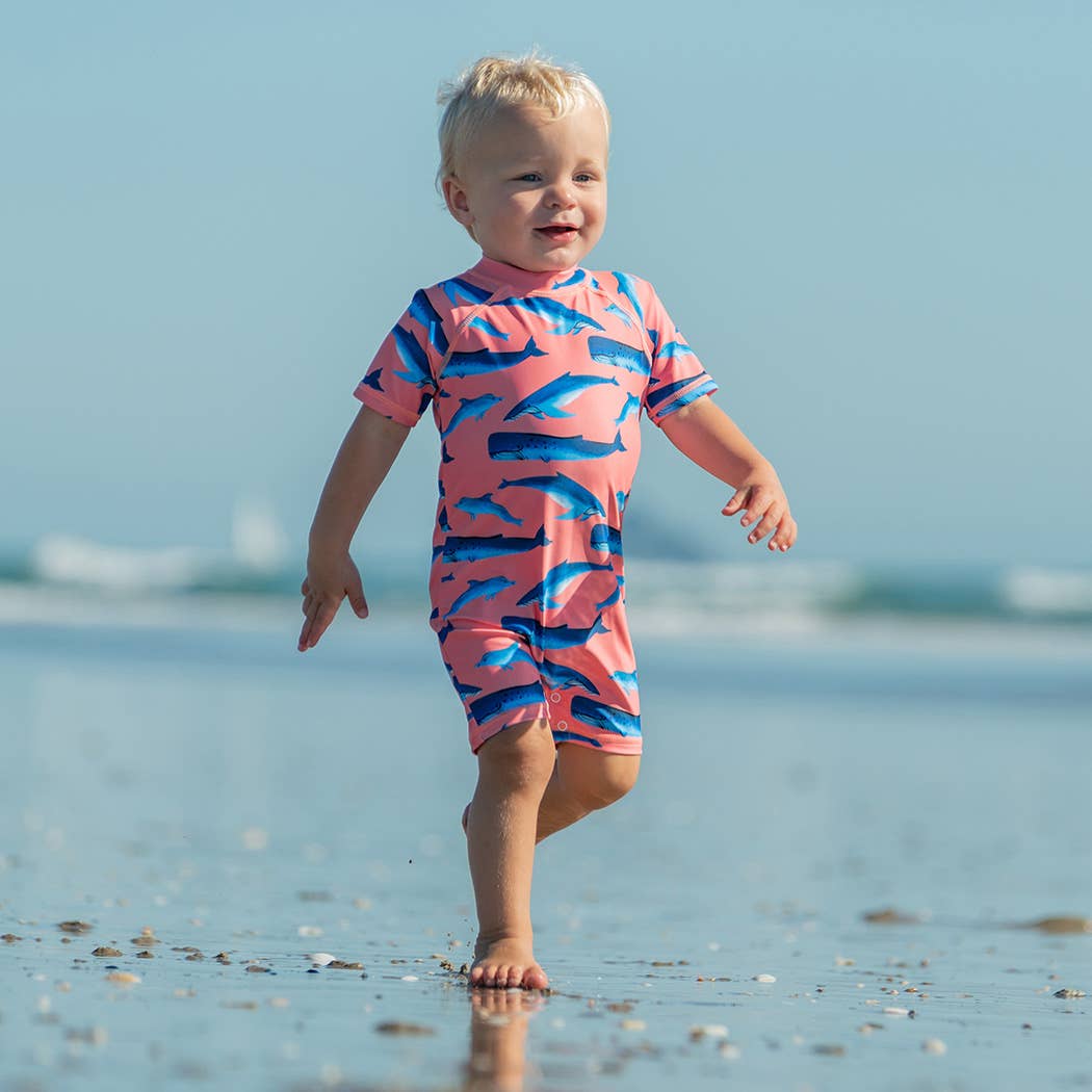 Snapper Rock Swimwear UPF50+ - Whale Tail SS Sunsuit
