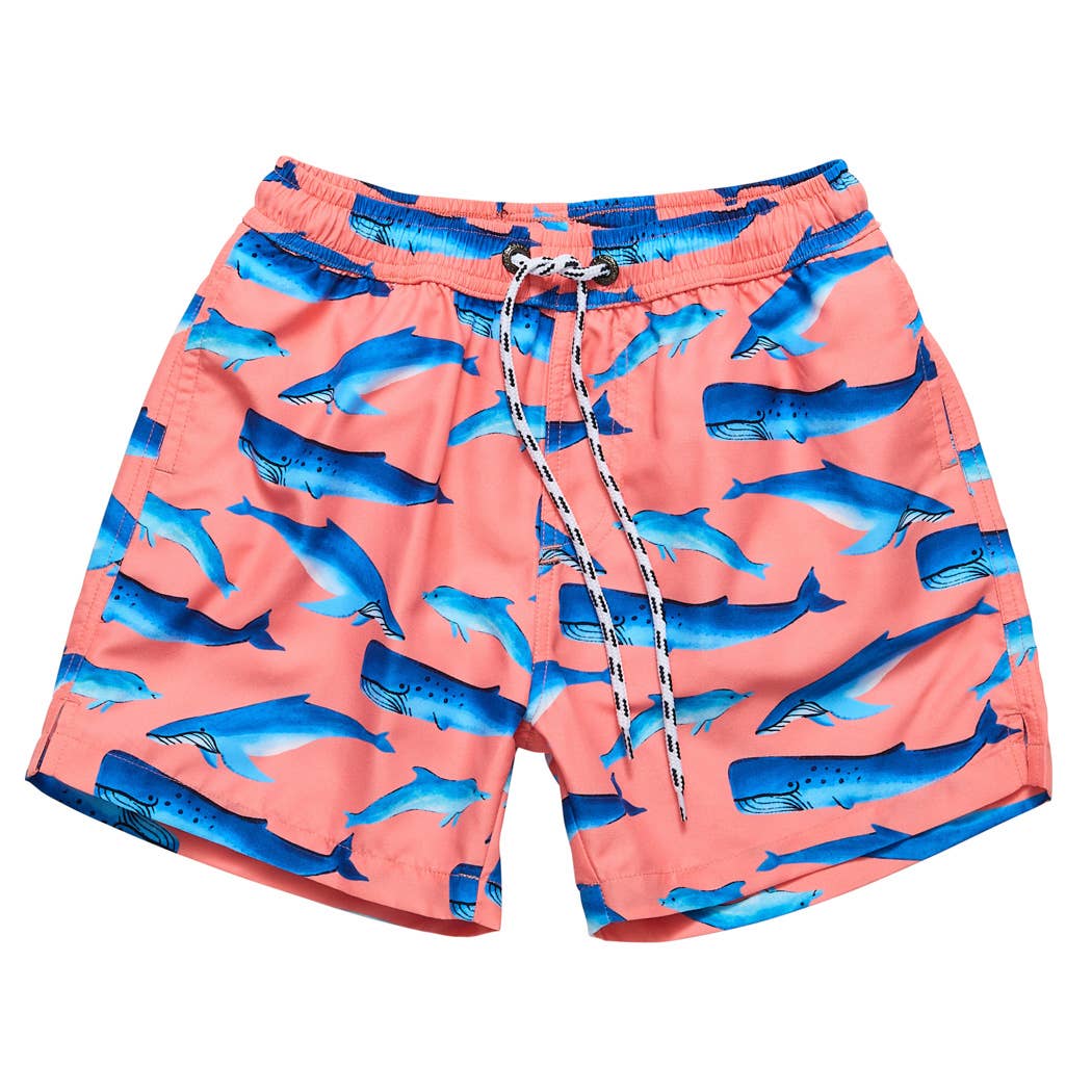 Snapper Rock Swimwear UPF50+ - Whale Tail Swim Short
