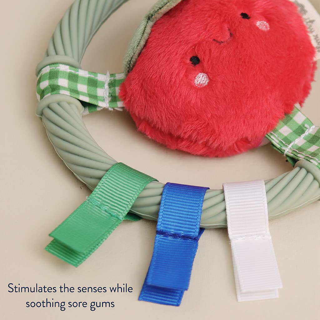 Itzy Ritzy -  Itzy Ring Pal™ - Teething Ring with Plush Character