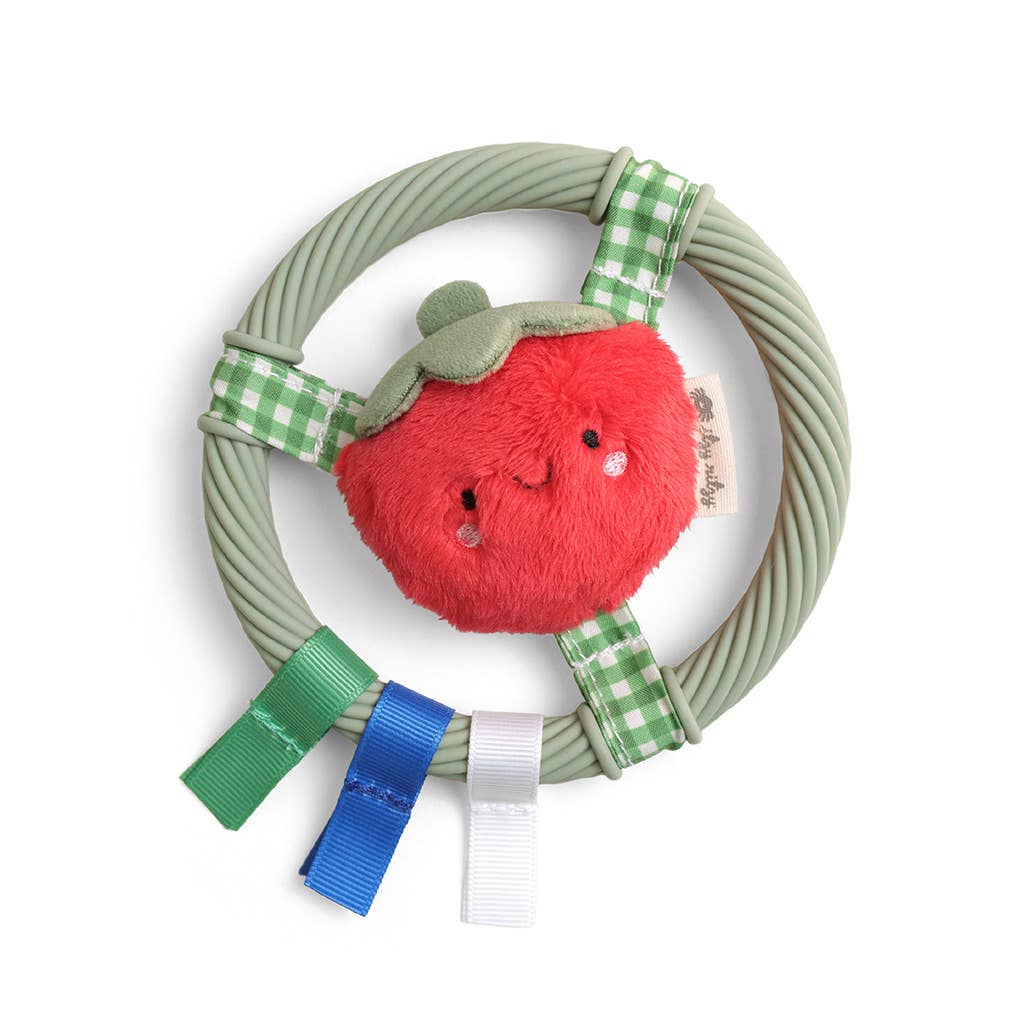 Itzy Ritzy -  Itzy Ring Pal™ - Teething Ring with Plush Character