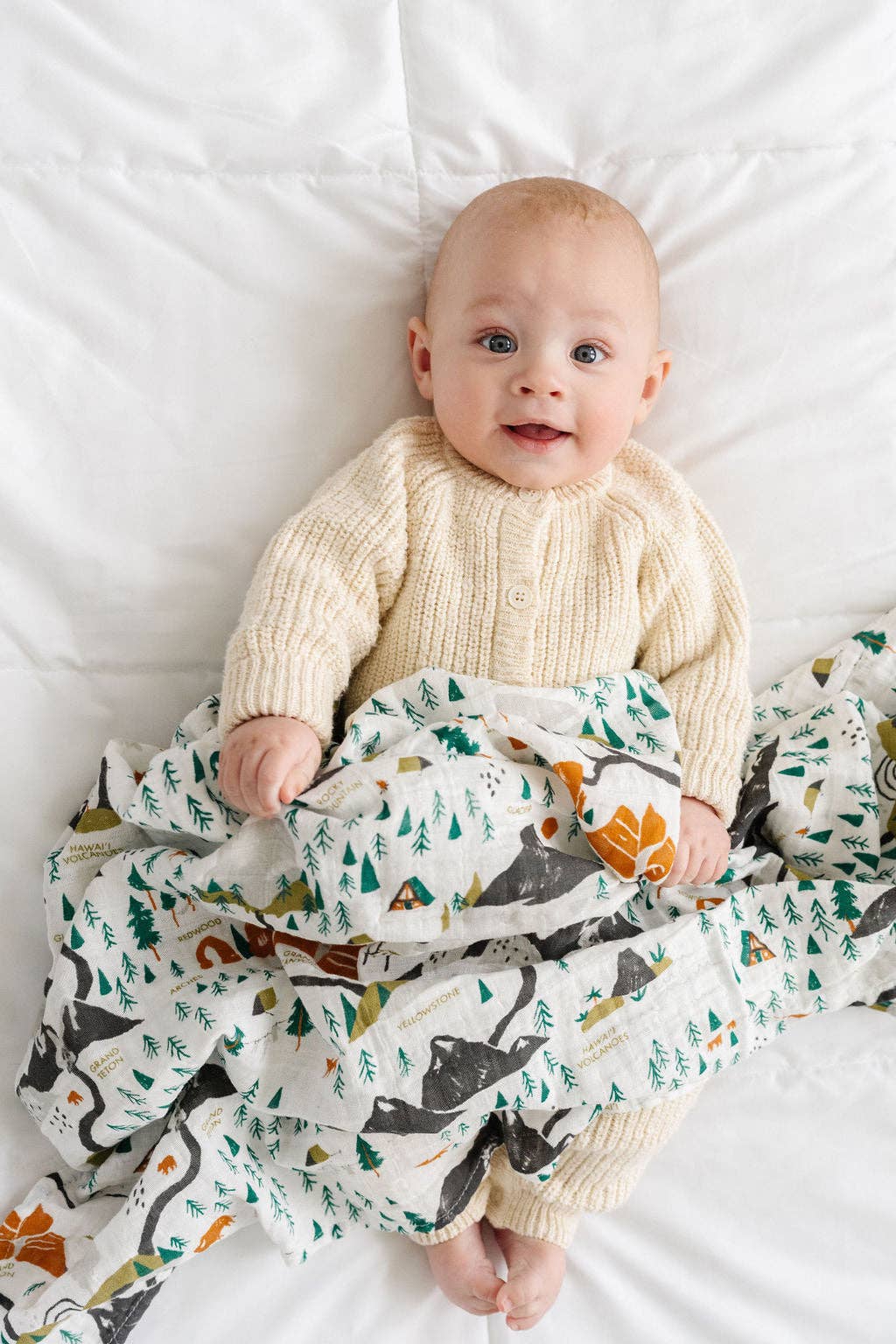 Clementine Kids - National Parks Swaddle (Mini Pattern)