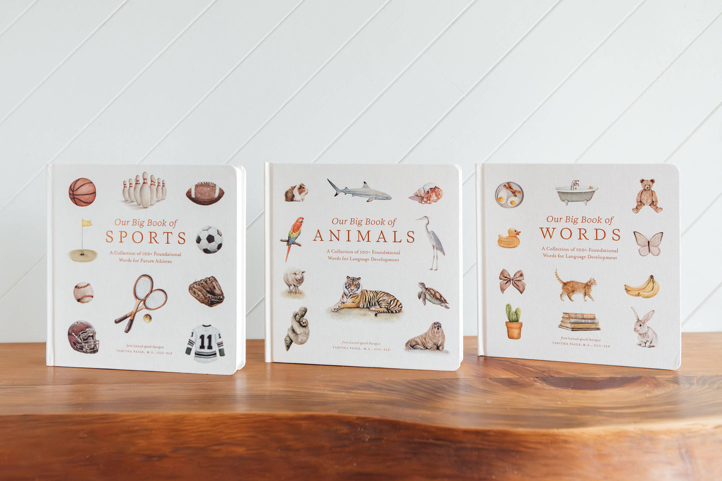 Paige Tate & Co. - Our Big Book of Sports (Board Book)