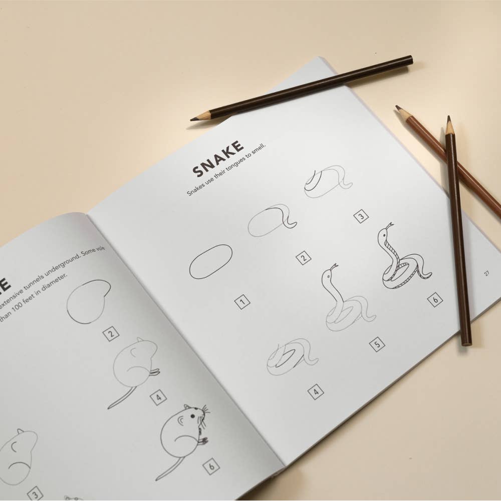Penguin Random House LLC - Mushrooms & Woodland Creatures: How to Draw Books for Kids