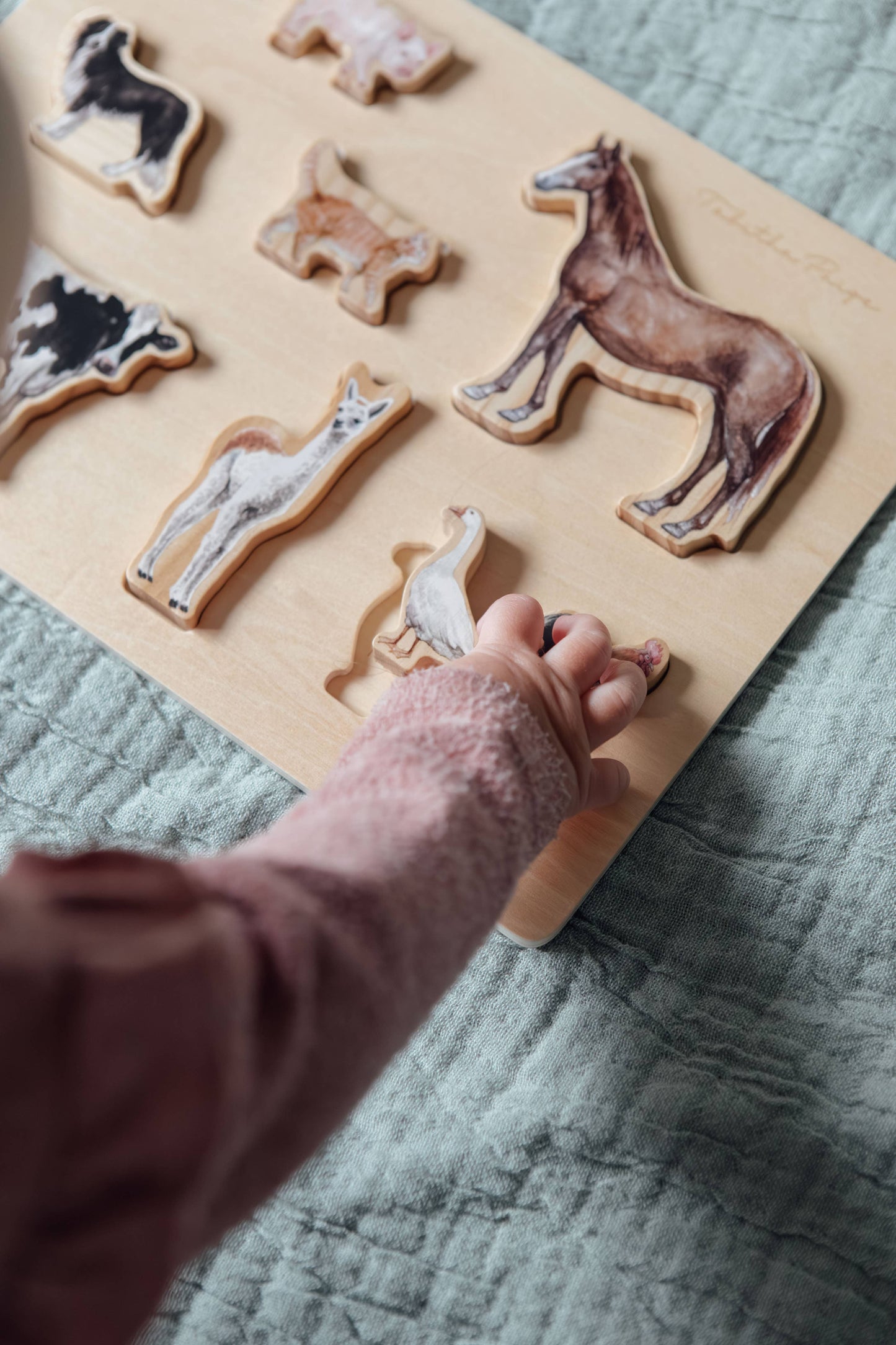 Paige Tate & Co. - Farm Animals Wooden Puzzle: A Tabitha Paige Puzzle