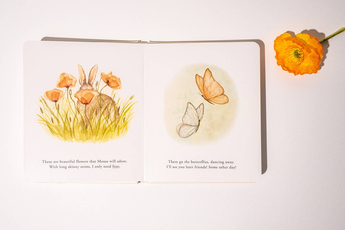 Paige Tate & Co. - Our Little Adventures Board Book Box Set for Kids