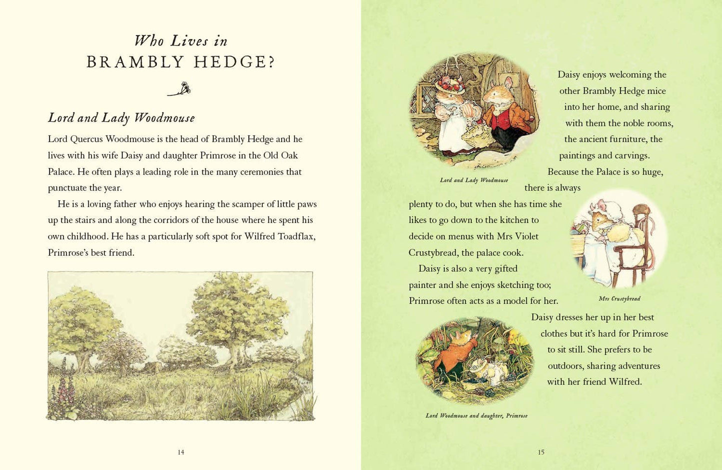 HarperCollins - Visit to Brambly Hedge, A : Jill Barklem