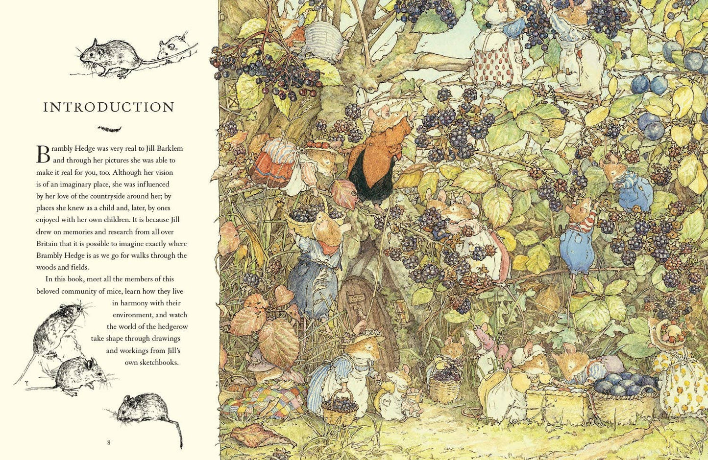 HarperCollins - Visit to Brambly Hedge, A : Jill Barklem