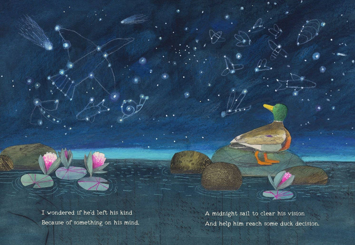 HarperCollins - Duck Can't Sleep : E. B. White