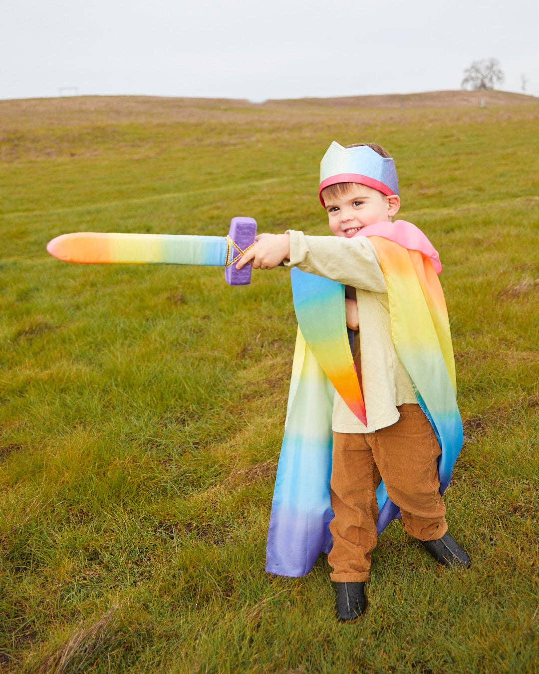 Soft Shield for Kids Knight Costume