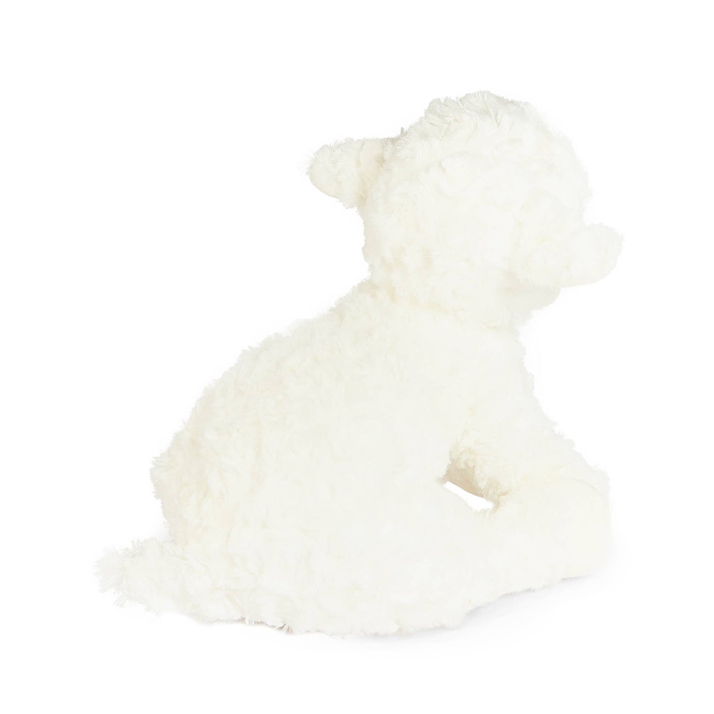 Bunnies By the Bay - Kiddo the Lamb
