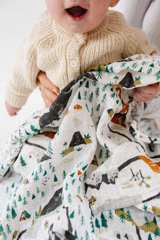 Clementine Kids - National Parks Swaddle (Mini Pattern)