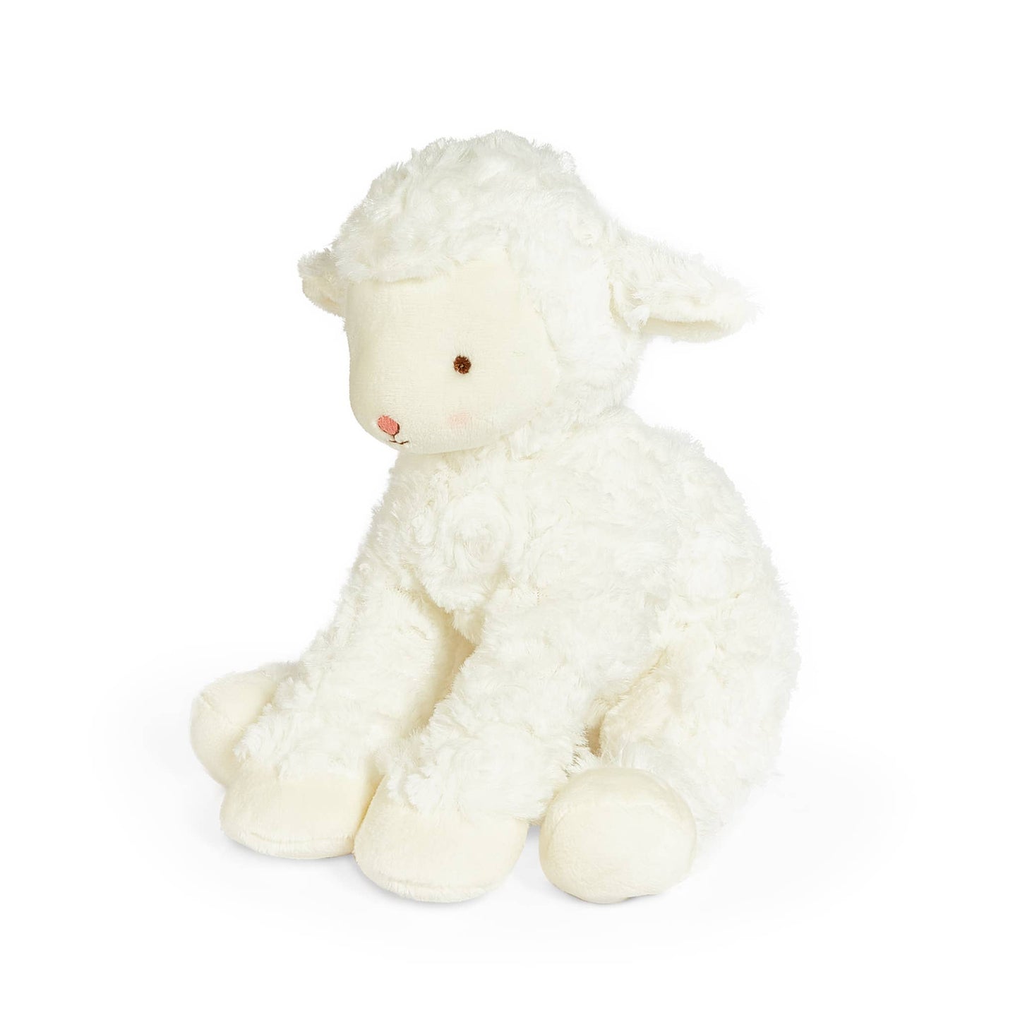 Bunnies By the Bay - Kiddo the Lamb