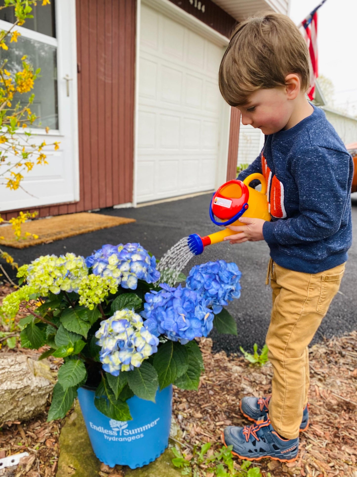 Haba Watering Can