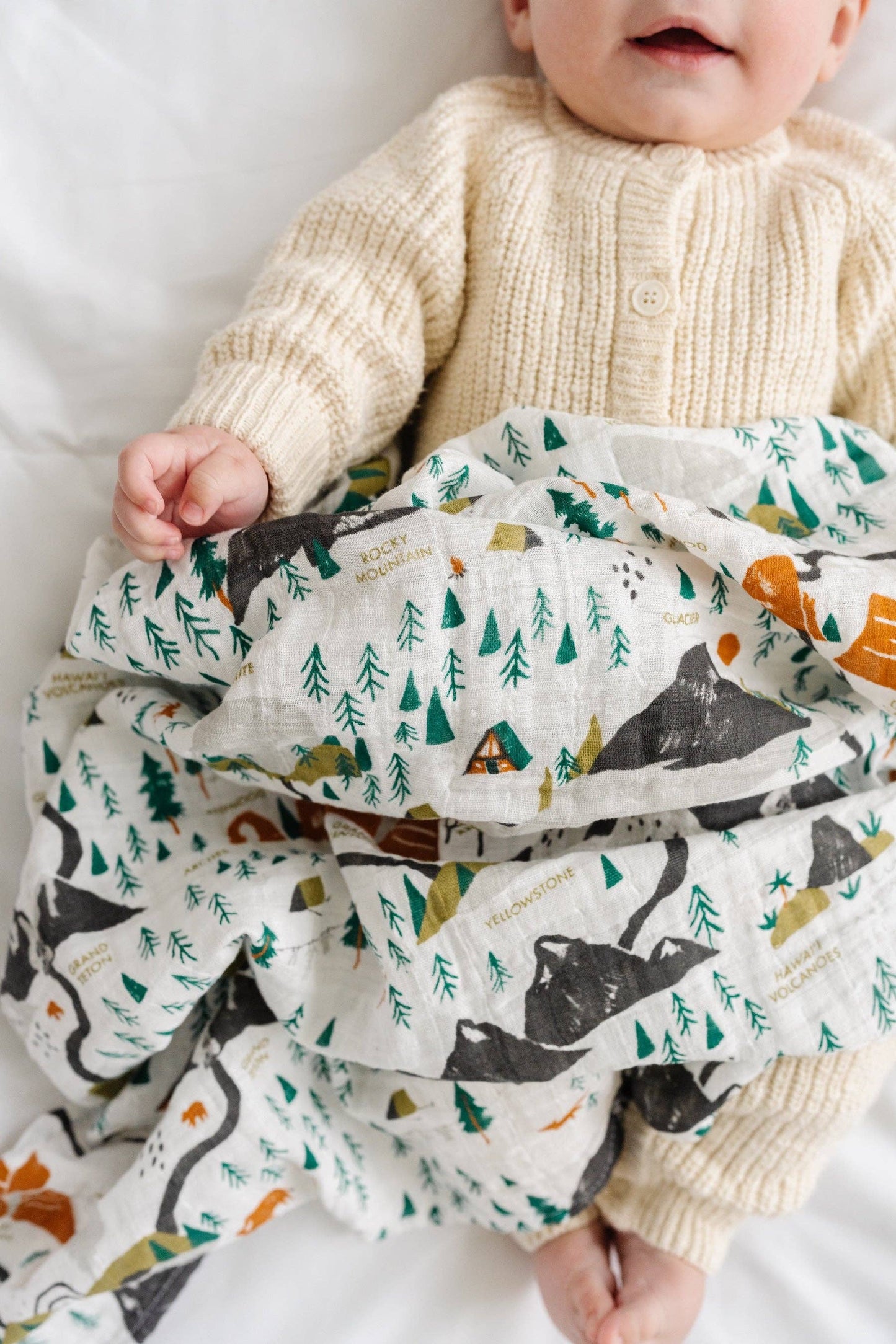 Clementine Kids - National Parks Swaddle (Mini Pattern)