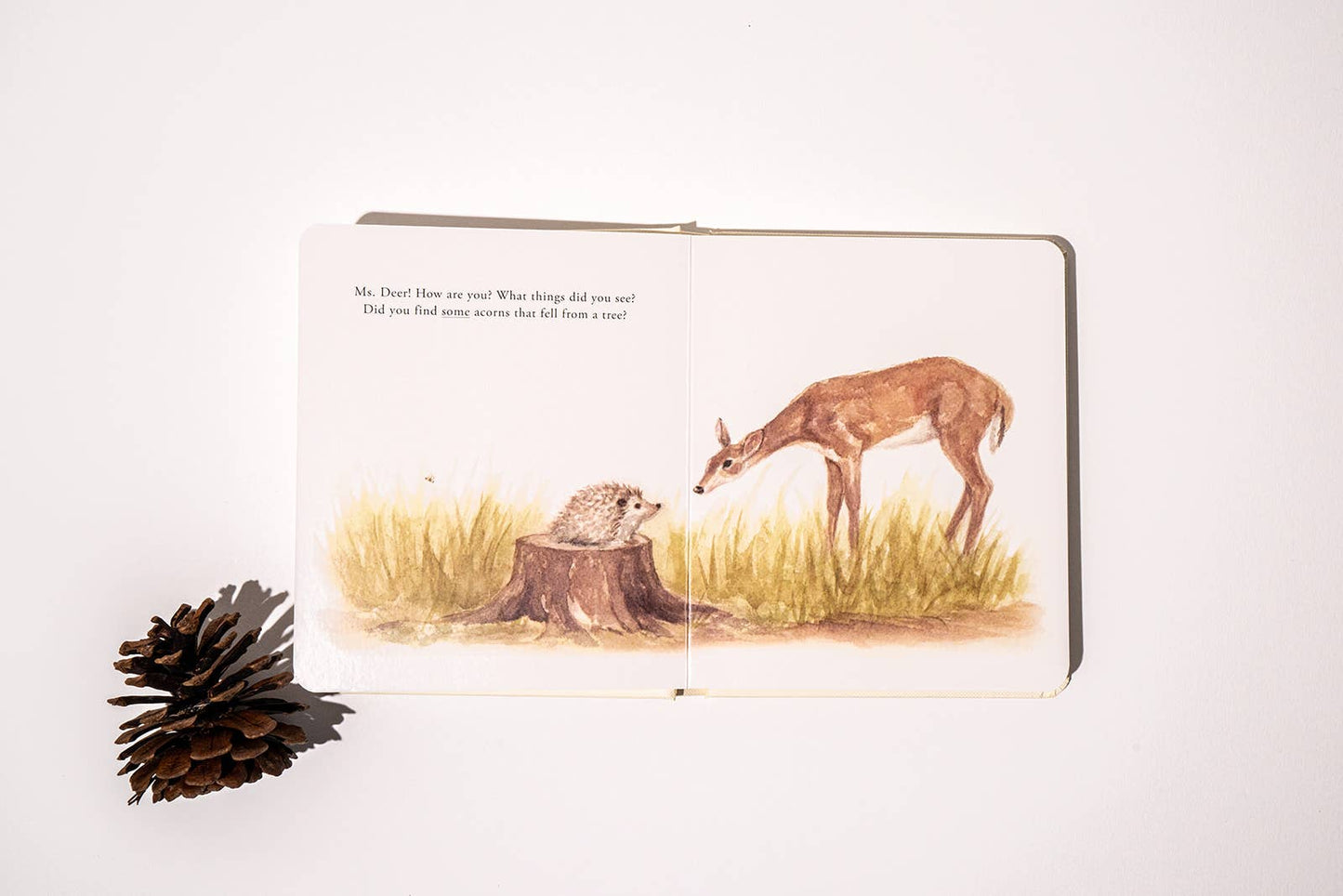 Paige Tate & Co. - Our Little Adventures Board Book Box Set for Kids