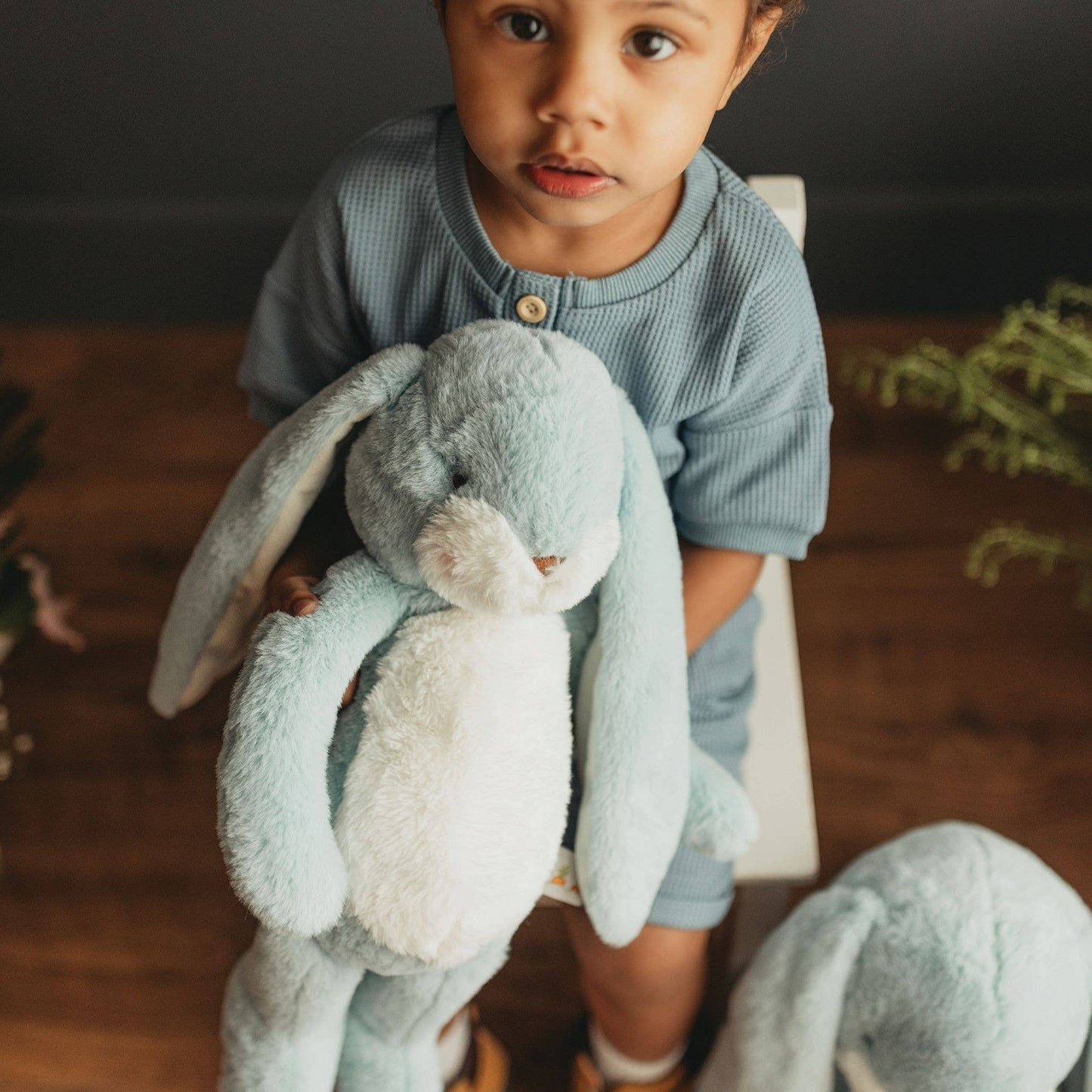 Bunnies By the Bay - Little Nibble 12" Bunny Blue