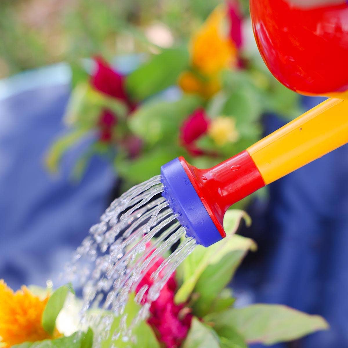 Haba Watering Can