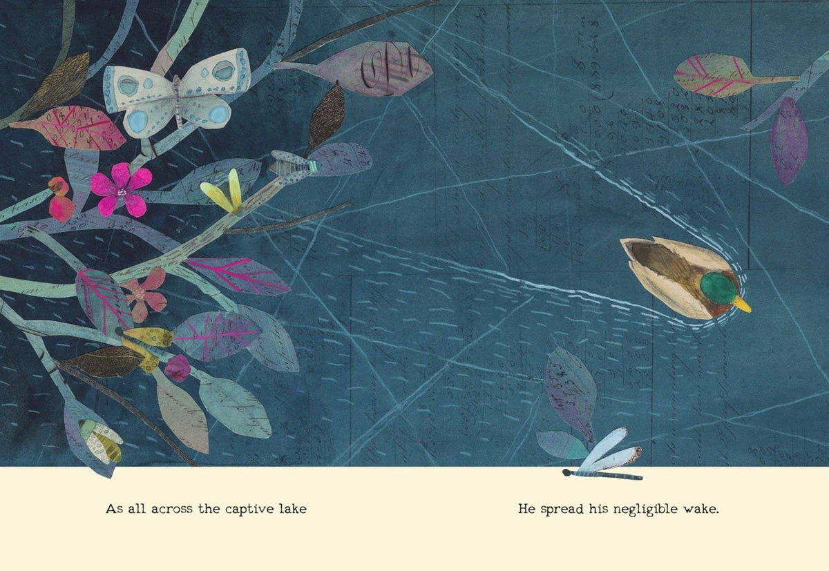 HarperCollins - Duck Can't Sleep : E. B. White