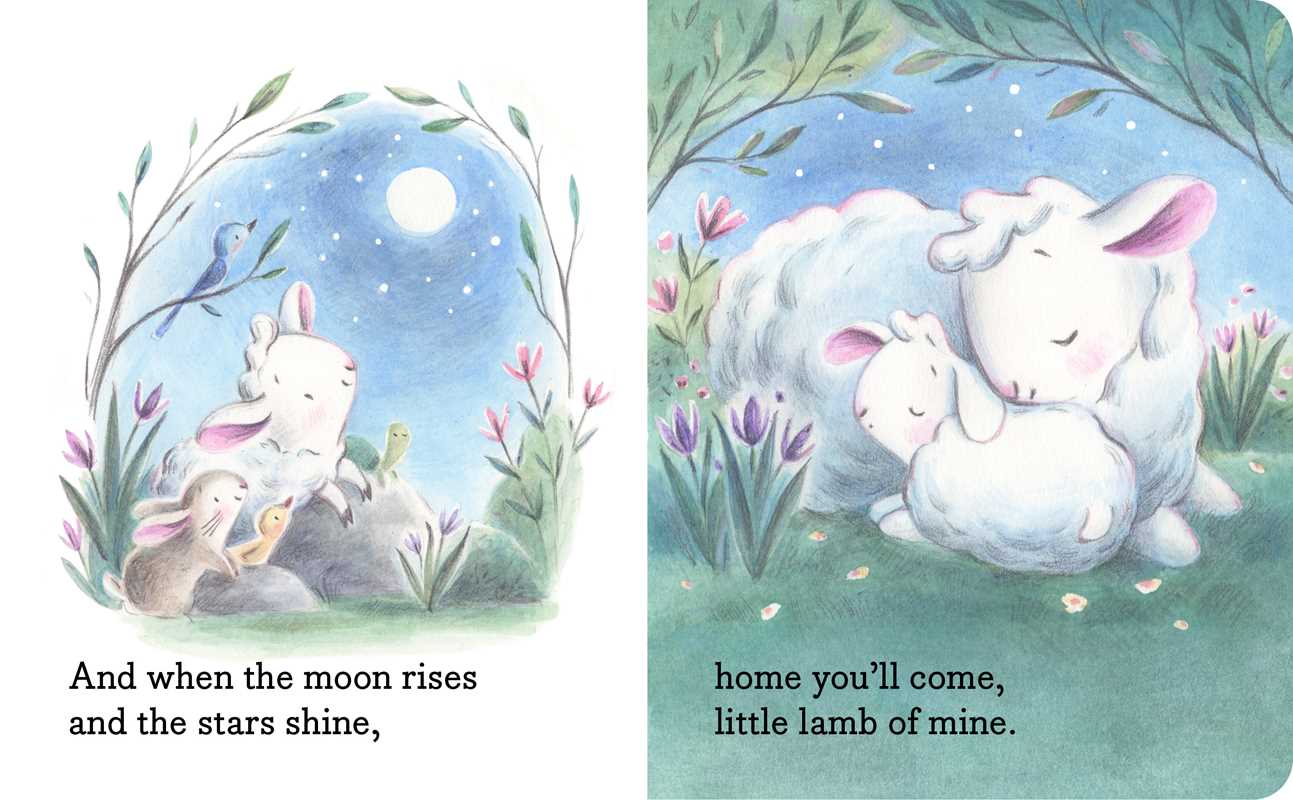 My Little Lamb by Hannah Eliot